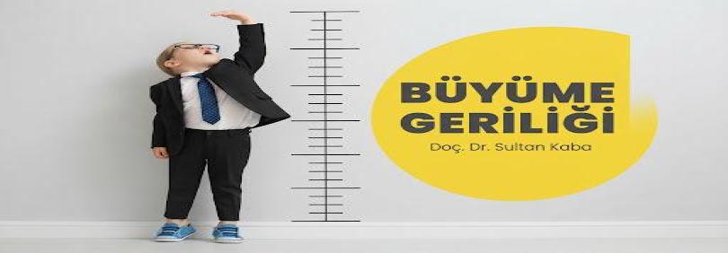BÜYÜME GERİLİĞİ
